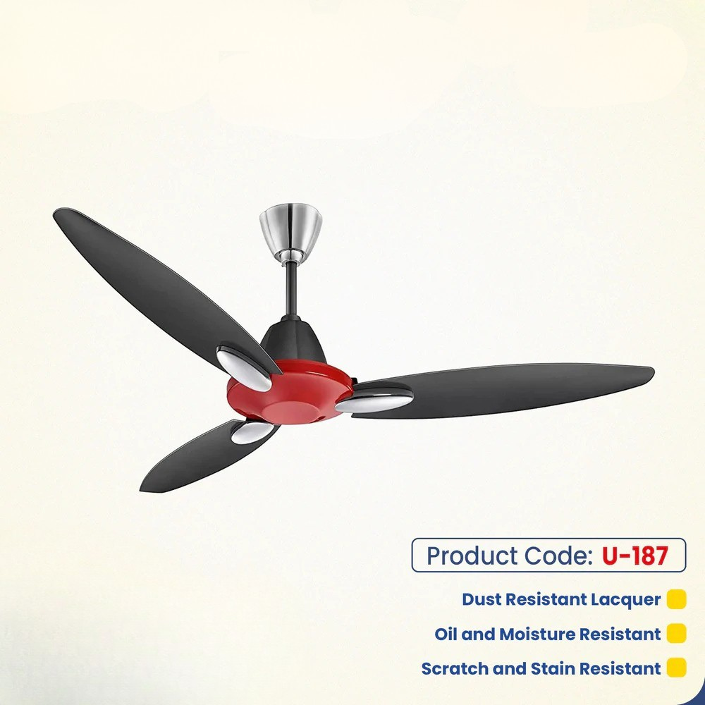 Usha Bloom Daffodil 50'' (Red & Black) U-187