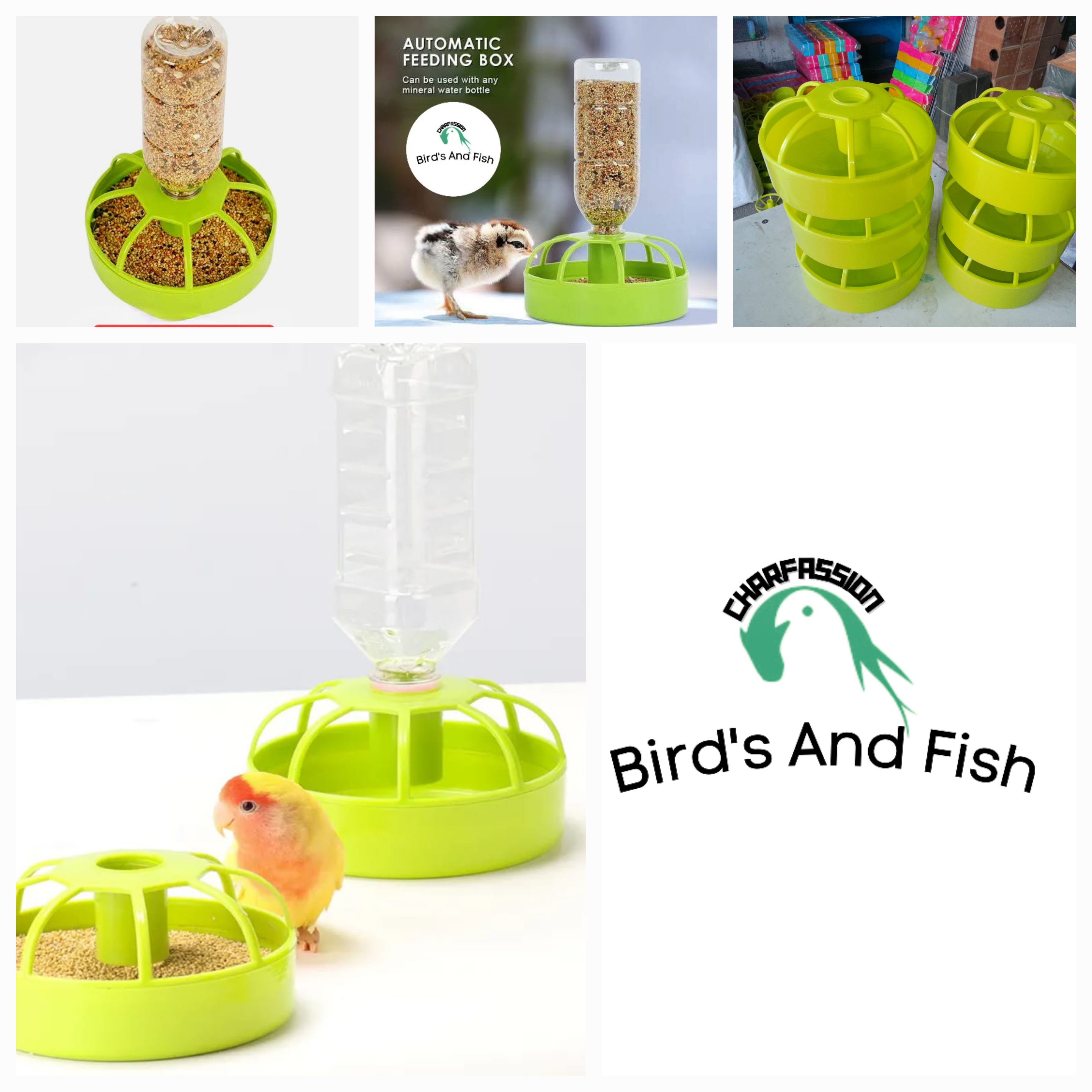 Bird's Food And Water bowl.