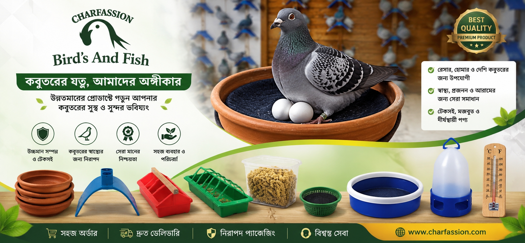 Pigeon Accessories