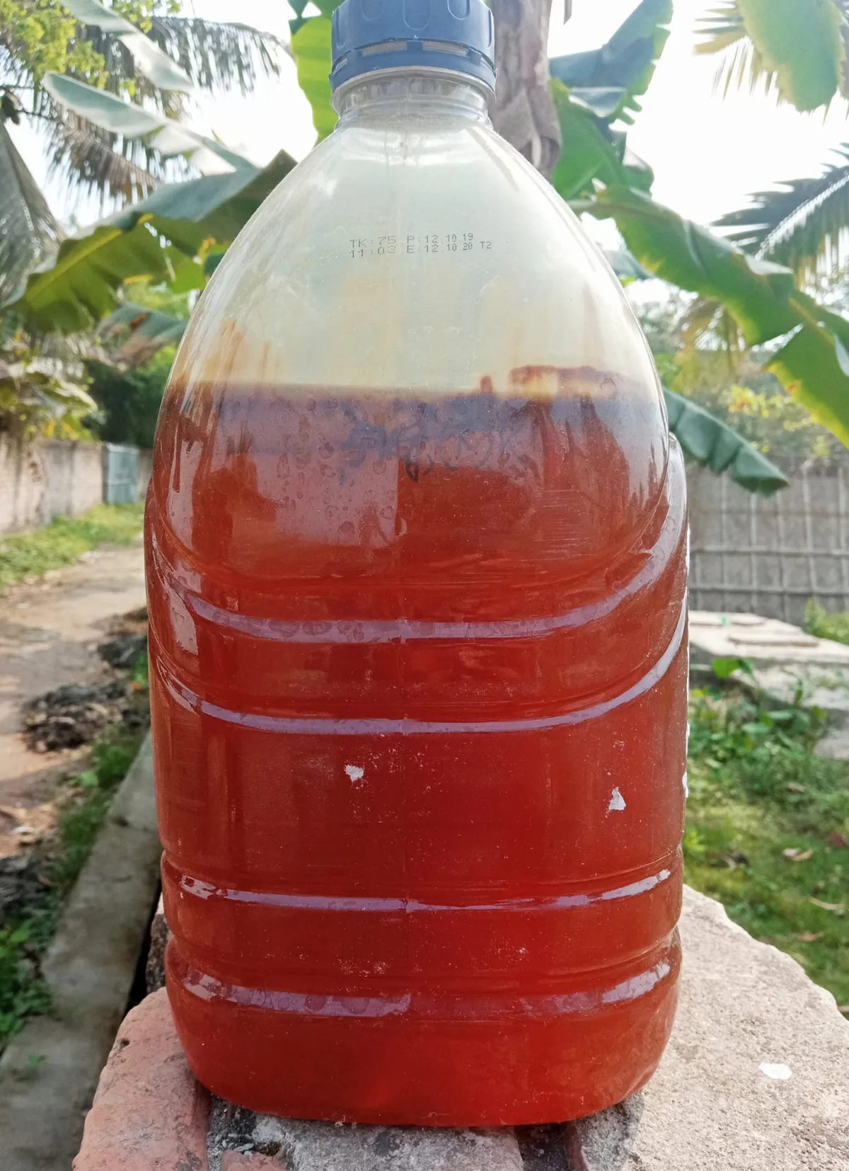 সুন্দরবনের খলিশা ফুলের মধু – (Sundarbans Honey)
