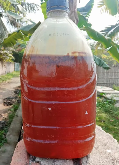 সুন্দরবনের খলিশা ফুলের মধু – (Sundarbans Honey)_img_0