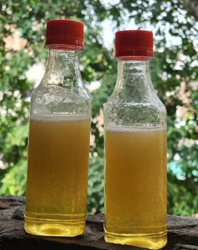 বরই ফুলের মধু_img_1