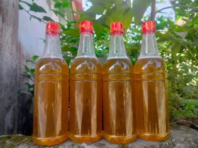 প্রাকৃতিক চাকের মধু_img_0
