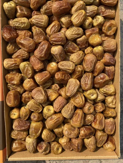 সুক্কারি খেজুর_img_2