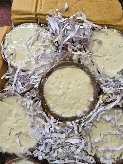হাতিয়ার বিখ্যাত মহিষের দই_img_3