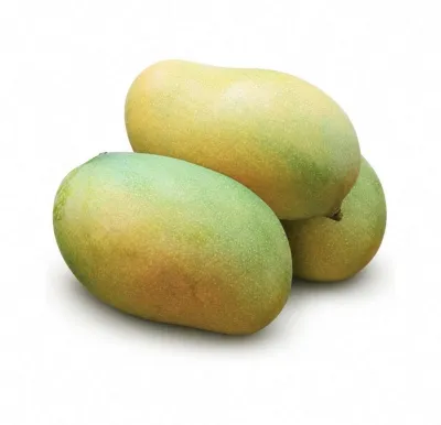পাহাড়ি আম্রপালি ২৫ কেজি_img_1