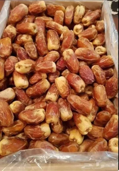 সুগাই খেজুর_img_1