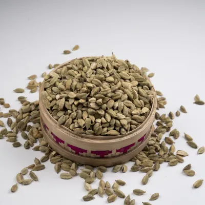 সবুজ এলাচ - Green Cardamom_img_0