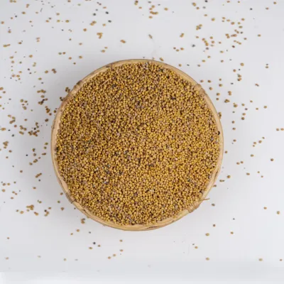 হলুদ সরিষা দানা (Yellow Mustard Seeds)_img_1