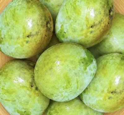 হিমসাগর আম - ২৫কেজি_img_3