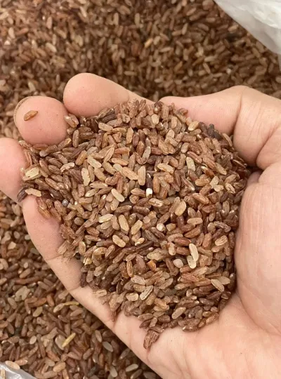 লাল চাল - Red Rice_img_0