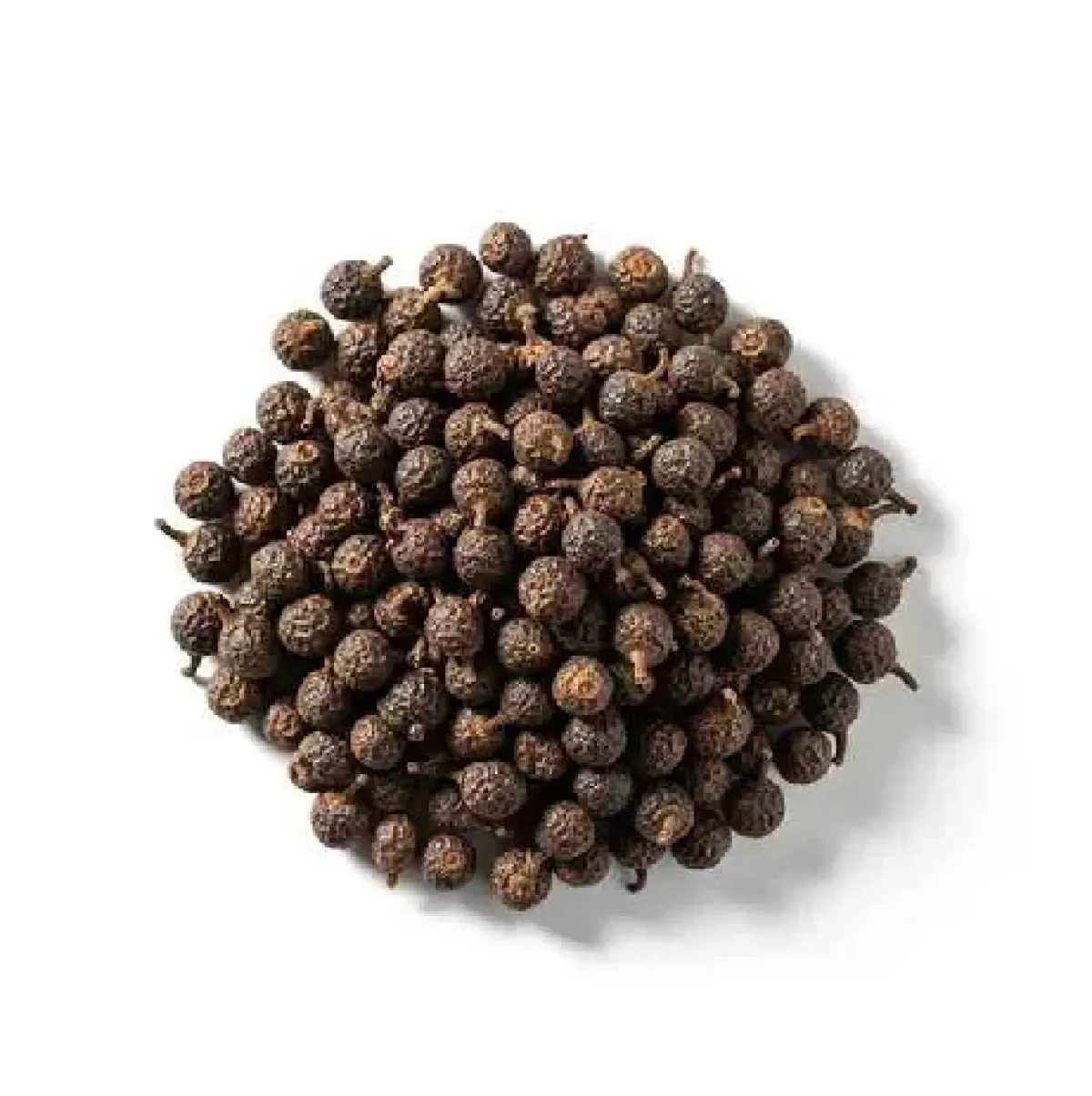 কাবাব চিনি (Kabab Chini / Sweet Fennel Seeds) – সুগন্ধি মশলা