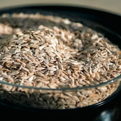 সূর্যমুখীর বীজ (Sunflower Seed)_img_0