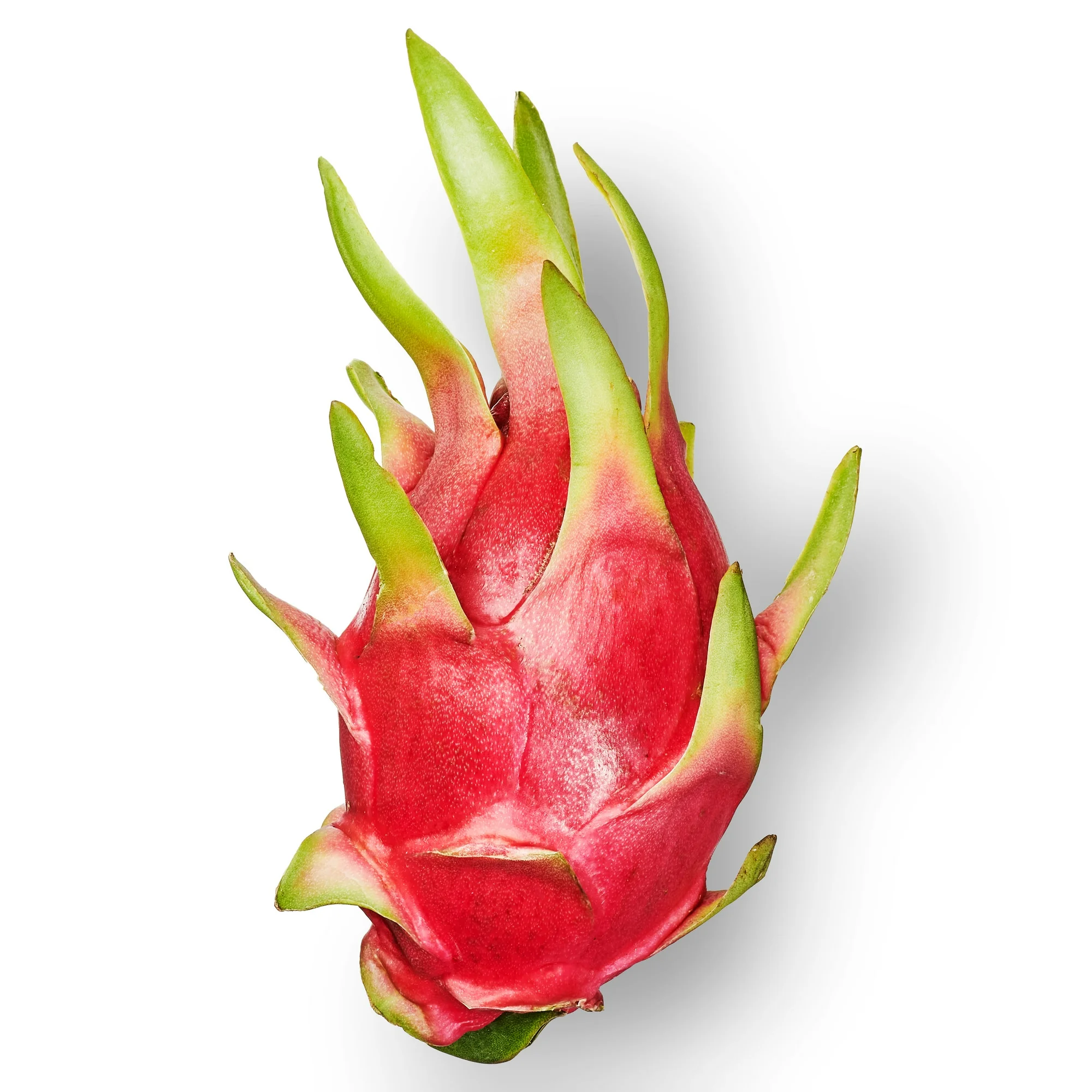 Fresh Dragon Fruit, Each thumbnail 2