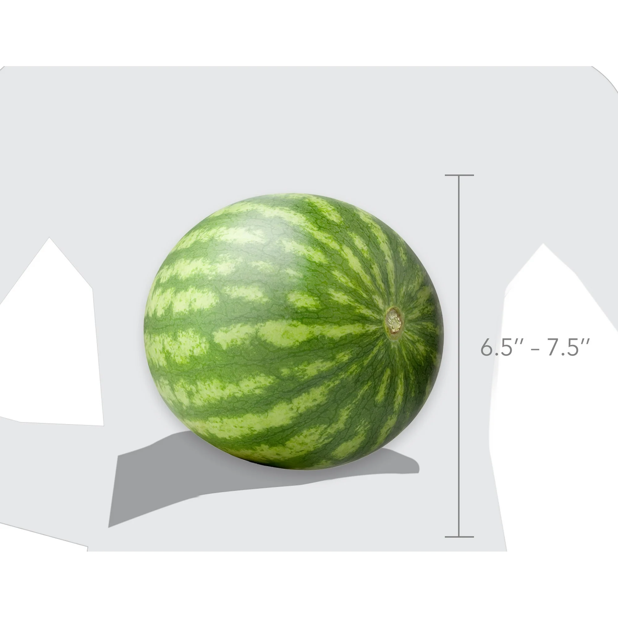 Fresh Seedless Watermelon thumbnail 2