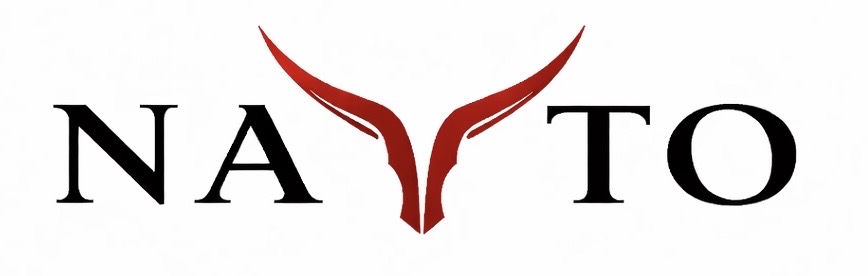 Nayto logo