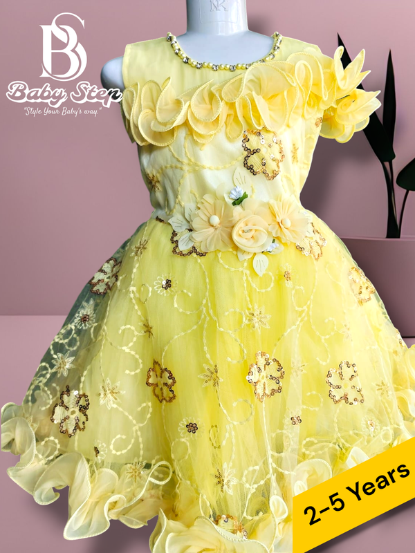 Elegant Baby Girl Party Dress.
