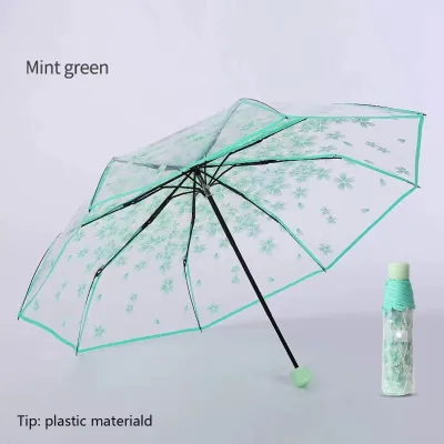 Transparent Cherry Blossom Folding Umbrella_img_1