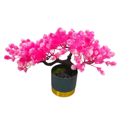 Pink Blossom Bonsai Tree_img_1