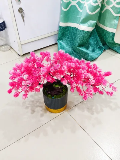Pink Blossom Bonsai Tree_img_0