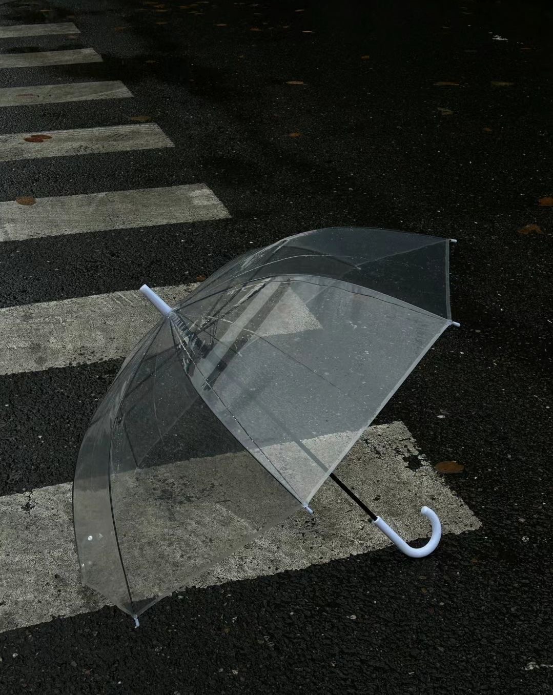Premium Aesthetic Transparent Umbrella with Colored Curved Handle | 5 Vibrant Colors-এর 3 নম্বর ছবি