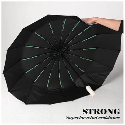 BMW Motorsport 12-Sticks Automatic Umbrella