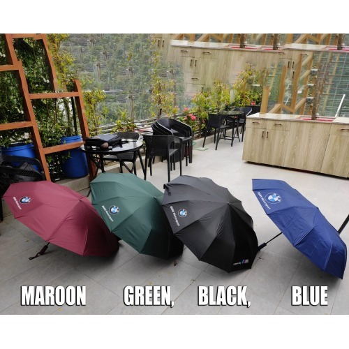 BMW Motorsport 36-Stick Automatic Umbrella