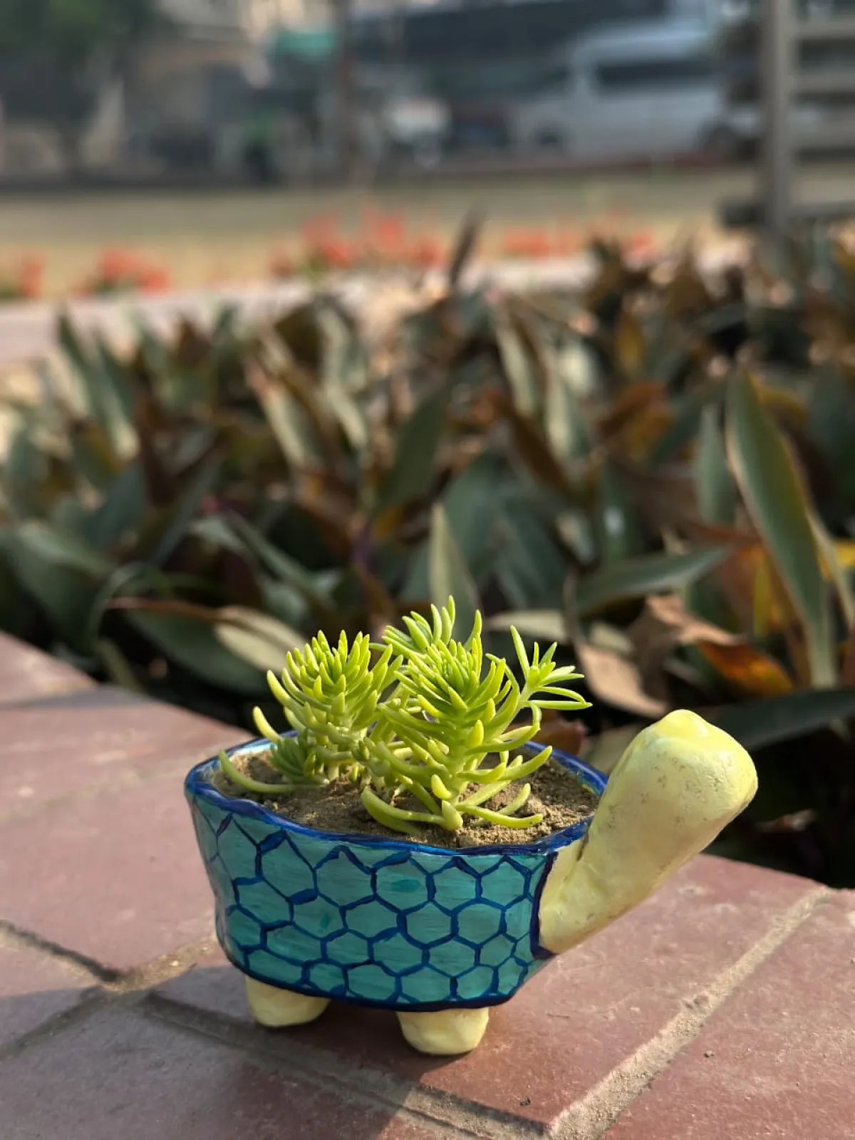 Tortoise Planter