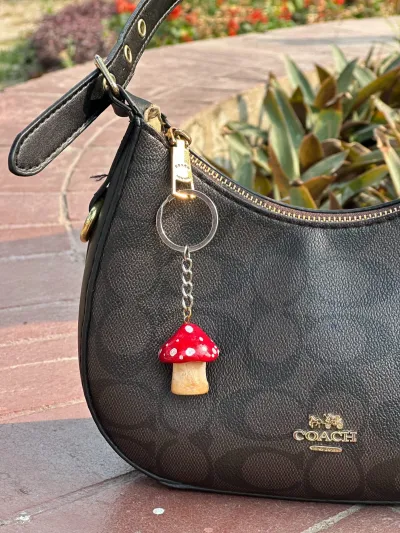 Mushroom Keycharm_img_1