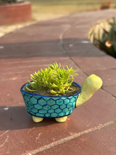 Tortoise Planter_img_1