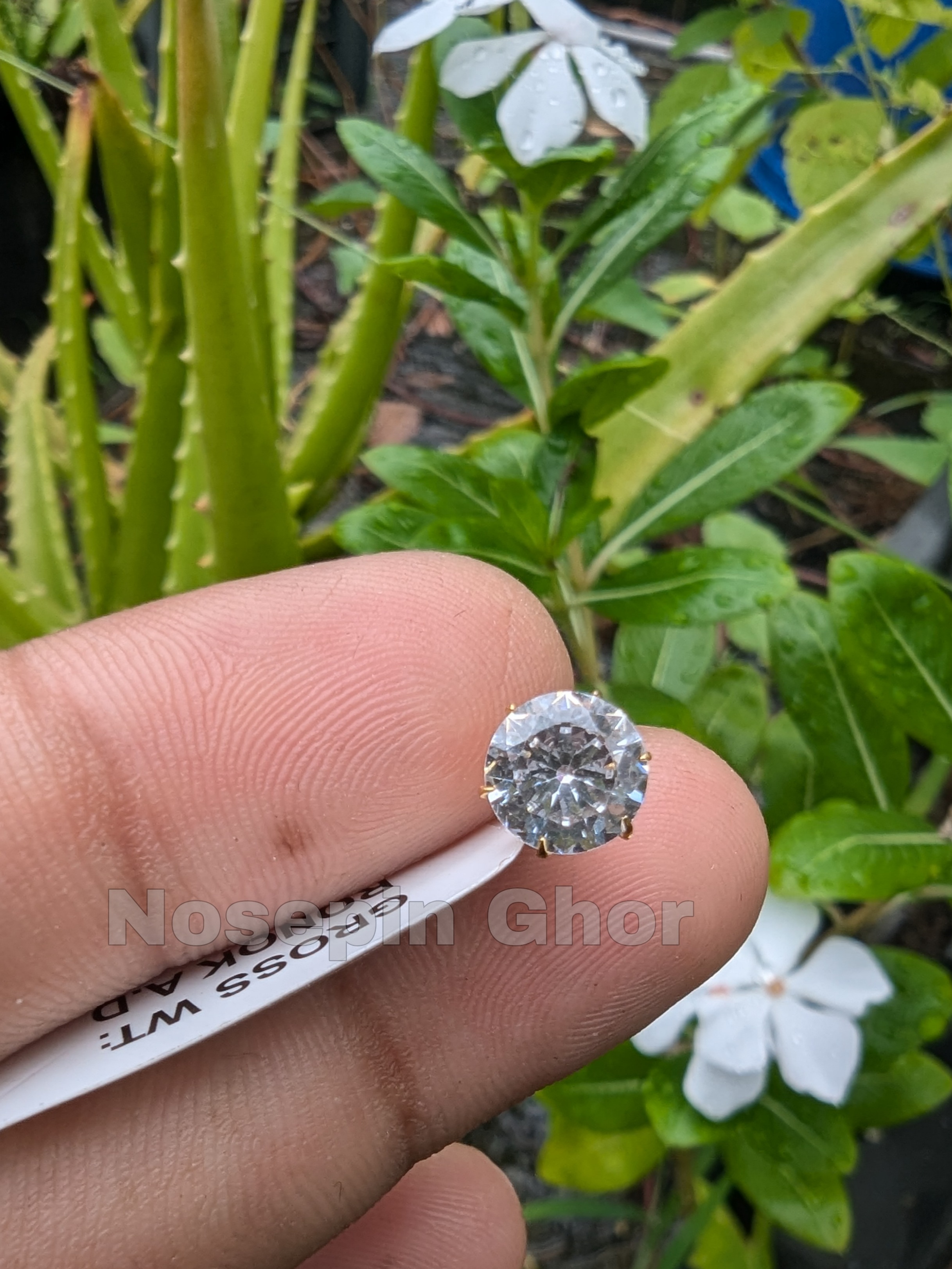 Big  Diamond Curt Nosepine  (W-Big1)