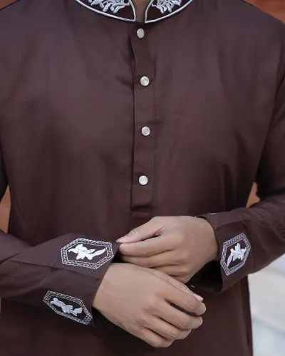 PREMIUM - Coffee colour panjabi_img_2