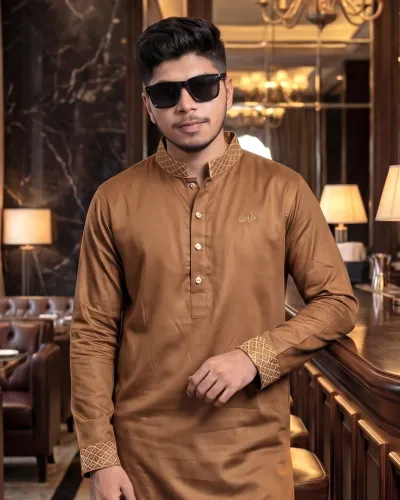 PREMIUM - Brown colour panjabi_img_2