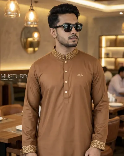 PREMIUM - Brown colour panjabi_img_0
