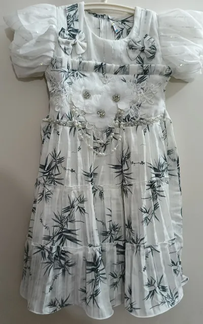 party dress_img_3