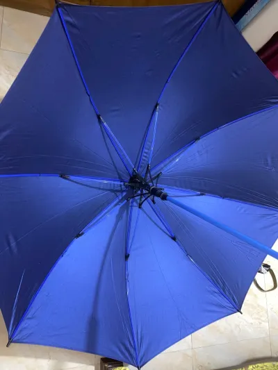 SANKAR BMW Windproof 8 Ribs Folding Umbrella_img_2