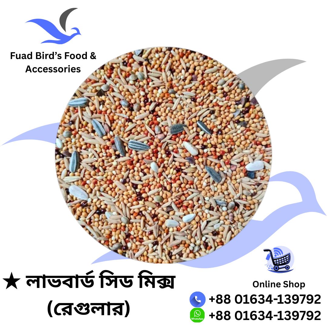 🔰Love Bird Seed Mix (Regular) 1kg