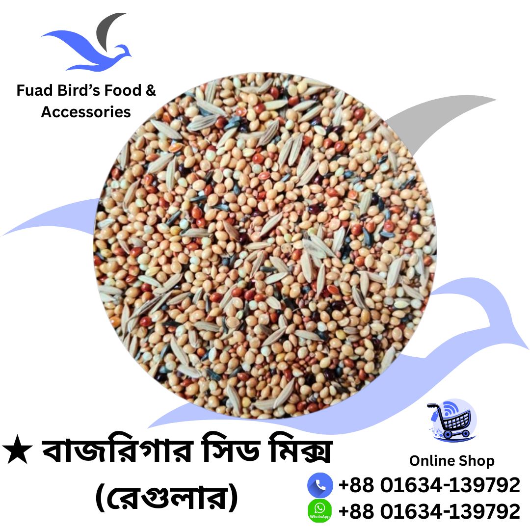 🔰Budgerigar Seed Mix (Regular) 1kg