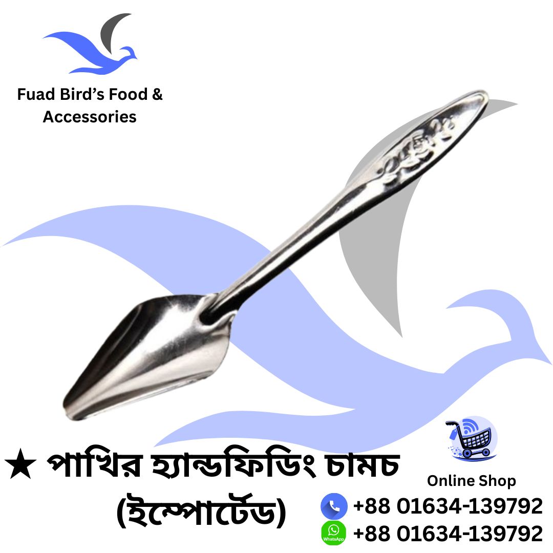 Birds Handfeeding Spoon (Imported) - পাখির হ্যান্ডফিডিং চামচ (ইম্পোর্টেড)