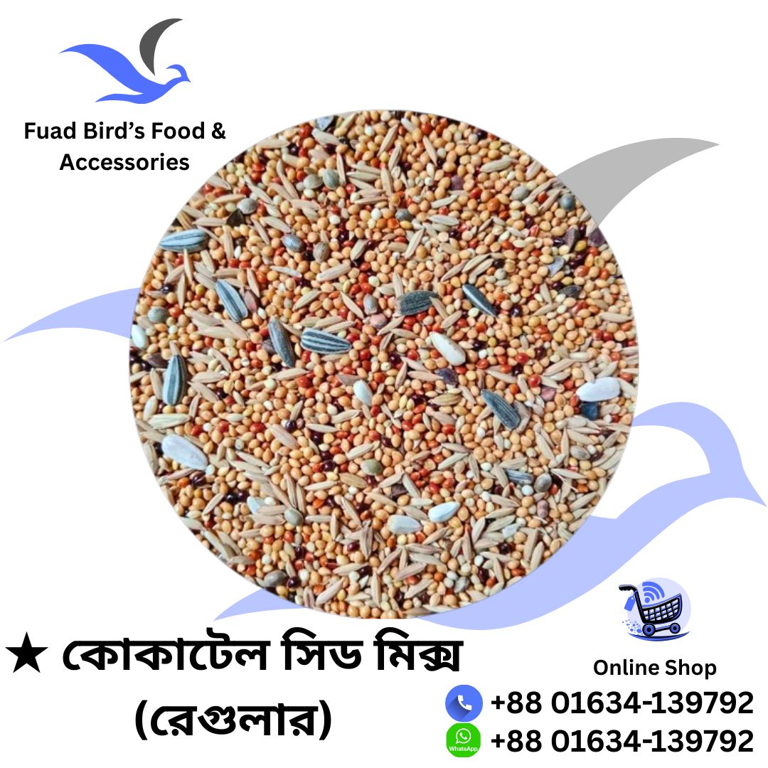 🔰Cockatiel Seed Mix (Regular) 1kg