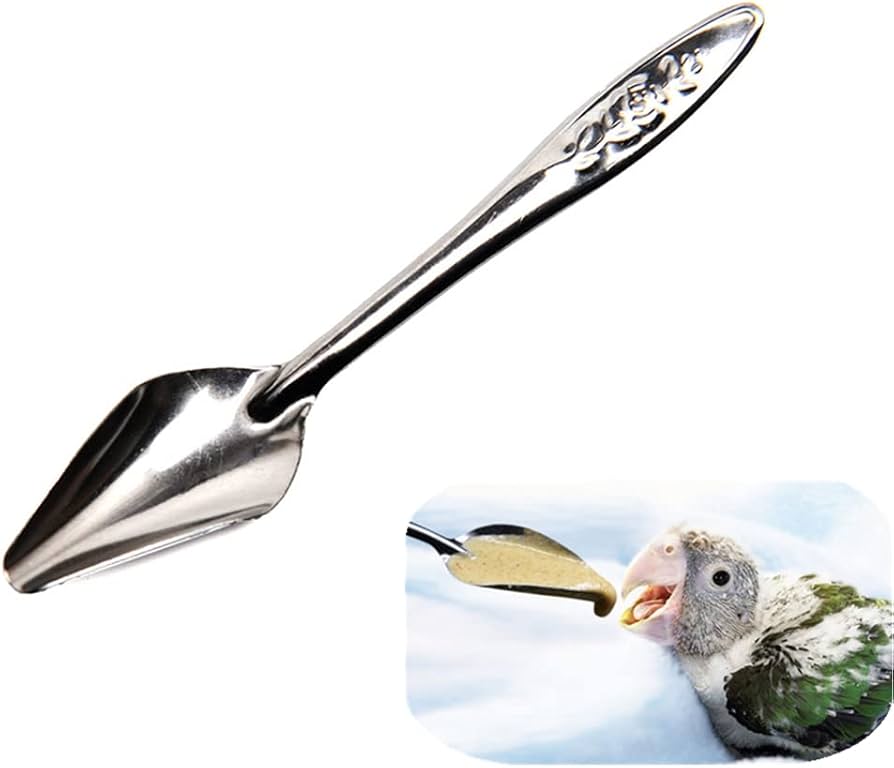 Birds Handfeeding Spoon (Imported) - পাখির হ্যান্ডফিডিং চামচ (ইম্পোর্টেড)_img_1