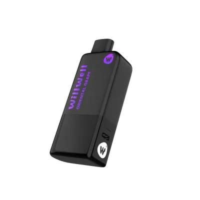 Will Well Disposable Vape 12K Puffs in Bangladesh | 5% Nicotine | Type-C Rechargeable | Full Kit_img_3