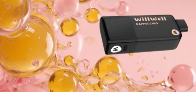 Will Well Disposable Vape 12K Puffs in Bangladesh | 5% Nicotine | Type-C Rechargeable | Full Kit_img_1