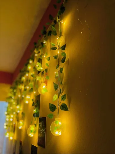 Wish Ball Lights (16 ft, 12 Balls)_img_2