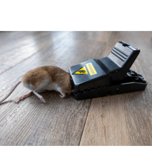 Powerful Rat Trap – Reusable Heavy Duty Mouse & Rodent Catcher
