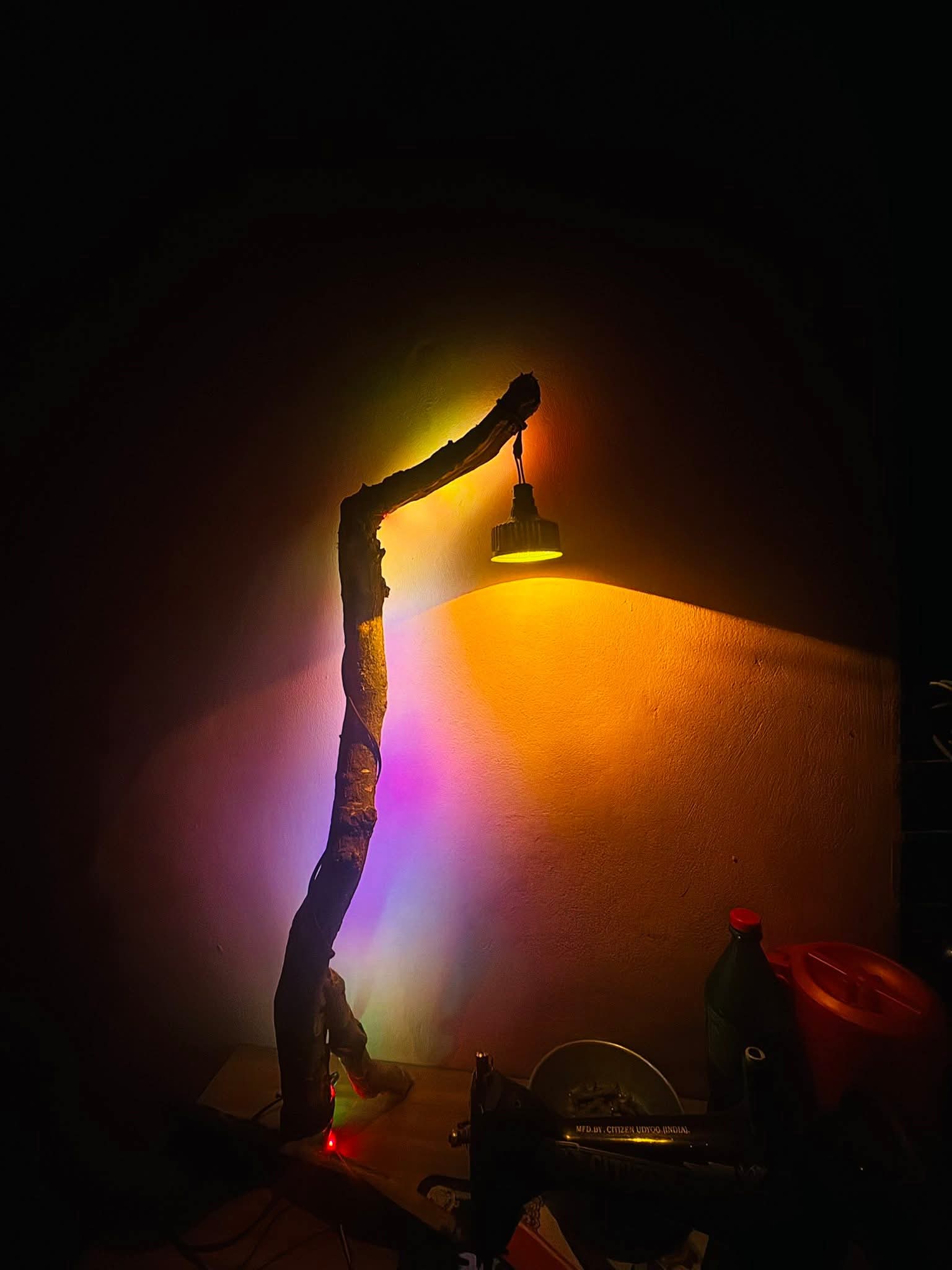 Lamp 2026 // new lamp lights (Copy)