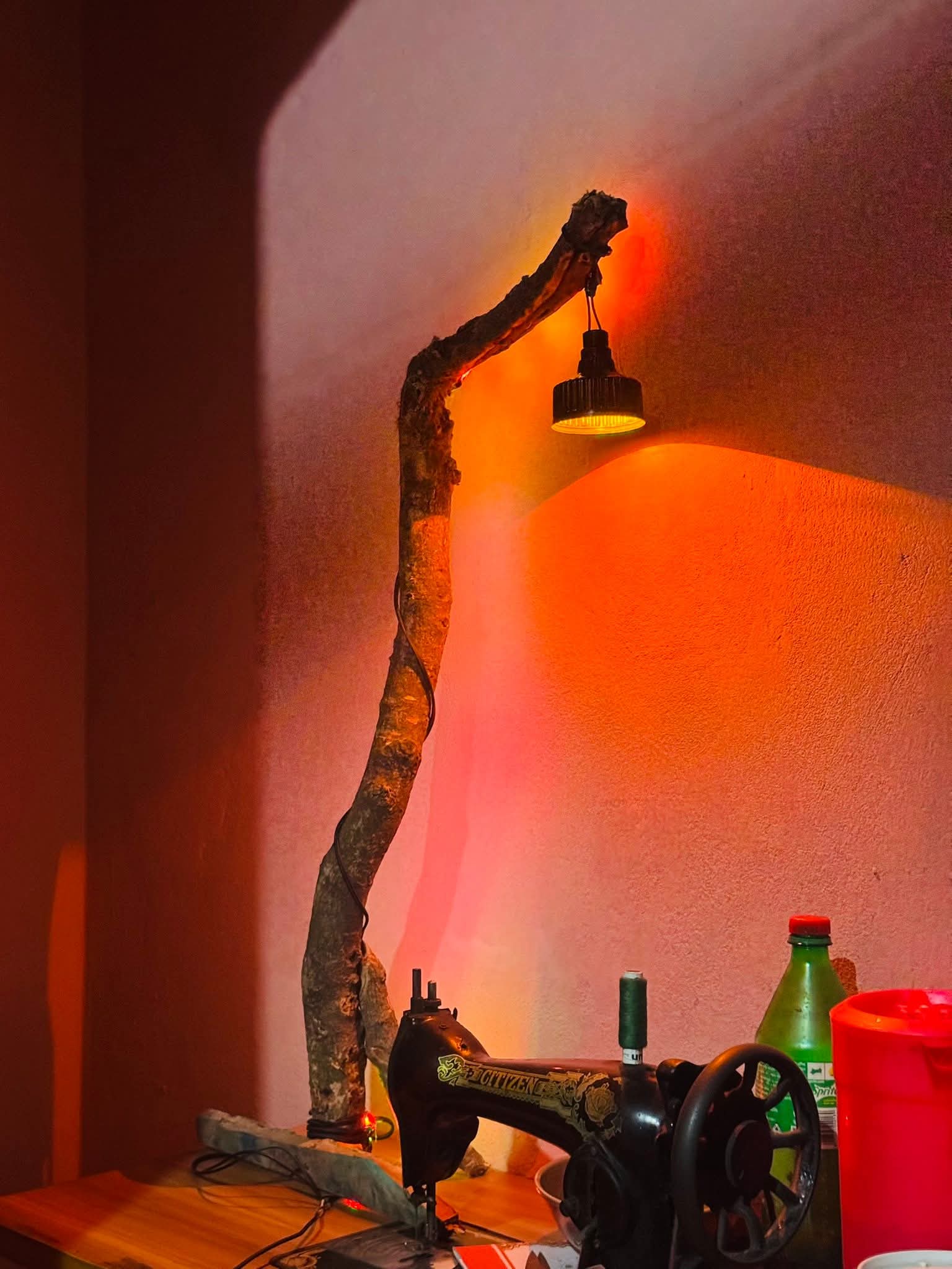 Lamp 2026 // new lamp lights