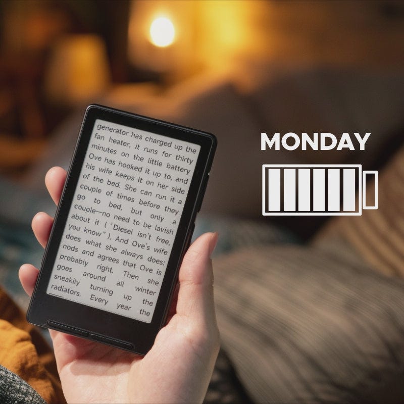 Xteink X4 Mini Ebook Reader