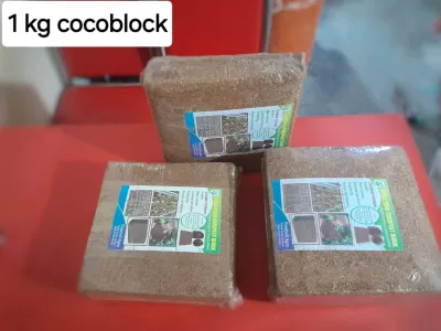 কোকোপিড(cocopid)_img_3