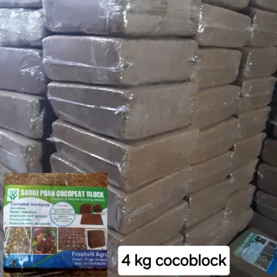 কোকোপিড(cocopid)_img_1